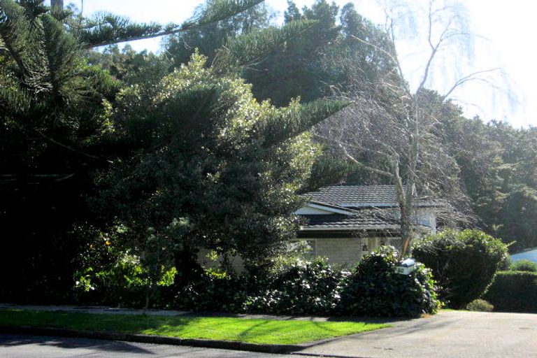 Photo of property in 72 Grande Vue Road, Hillpark, Auckland, 2102