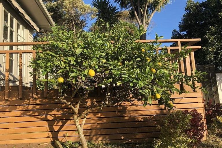 Photo of property in 37 Mountbatten Avenue, Hillcrest, Auckland, 0627