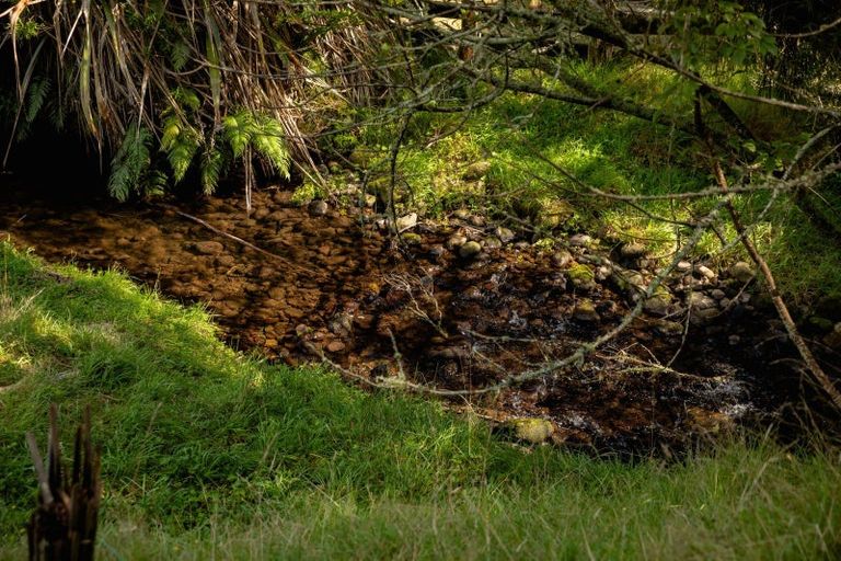 Photo of property in 1382 No 3 Road, Te Puke, 3183