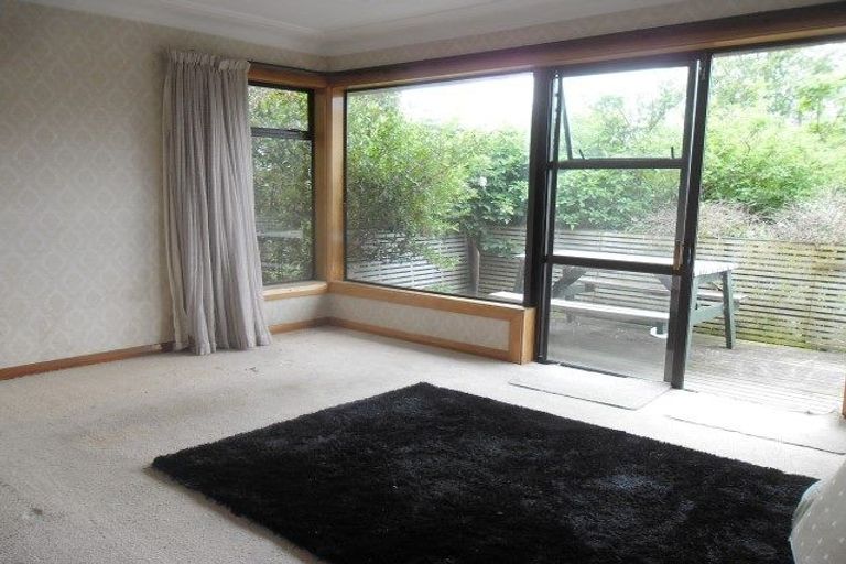 Photo of property in 199 Signal Hill Road, Opoho, Dunedin, 9010