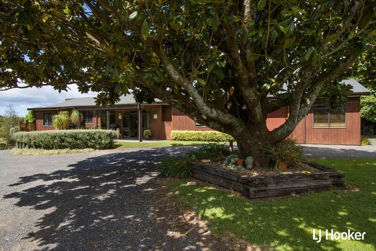 Photo of property in 325c Rea Road, Tahawai, Katikati, 3178