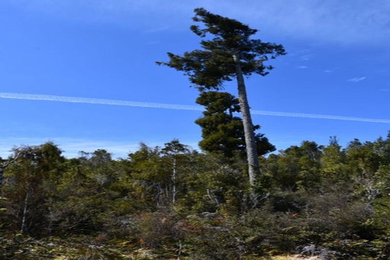 Photo of property in 78b Eco Place, Little Wanganui, Karamea, 7893