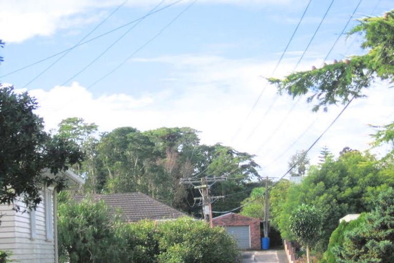 Photo of property in 66a View Road, Henderson, Auckland, 0612