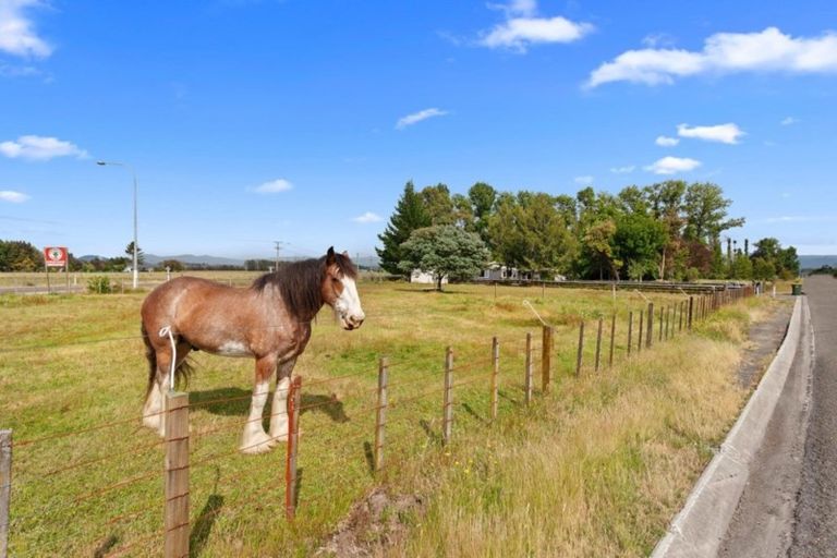 Photo of property in 280 Military Road, Otakiri, Whakatane, 3192