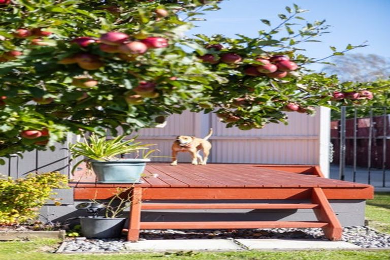 Photo of property in 20a Tiora Place, Upper Riccarton, Christchurch, 8041