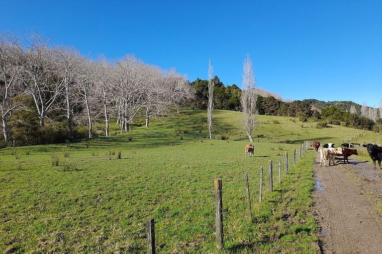 Photo of property in 424 Paranui-toatoa Road, Taipa, Kaitaia, 0483