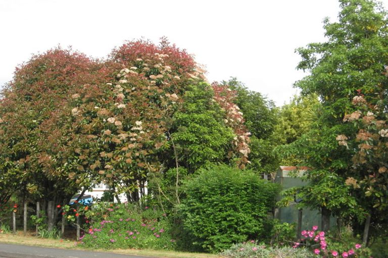 Photo of property in 31 Monkhouse Street, Tolaga Bay, 4077