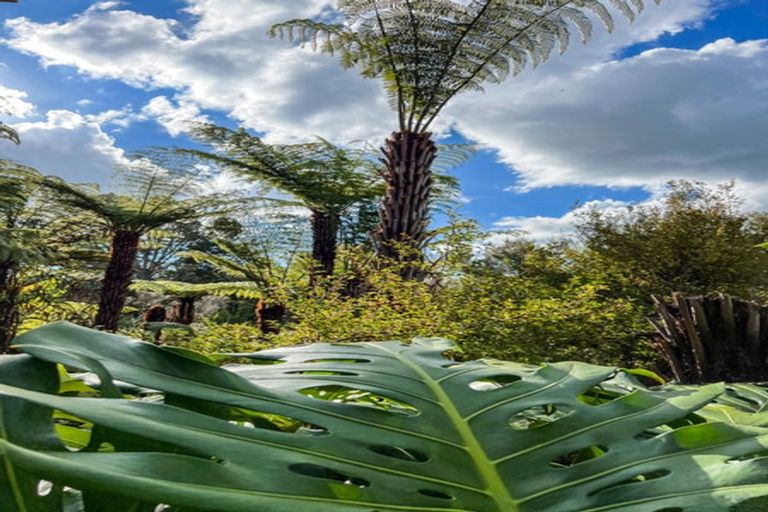 Photo of property in 56 Mission Road, Kerikeri, 0230