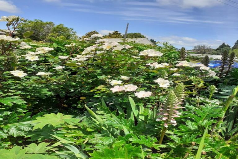 Photo of property in 87 Peacockes Road, Fitzroy, Hamilton, 3206