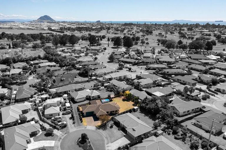 Photo of property in 20 Azalea Dell, Mount Maunganui, 3116