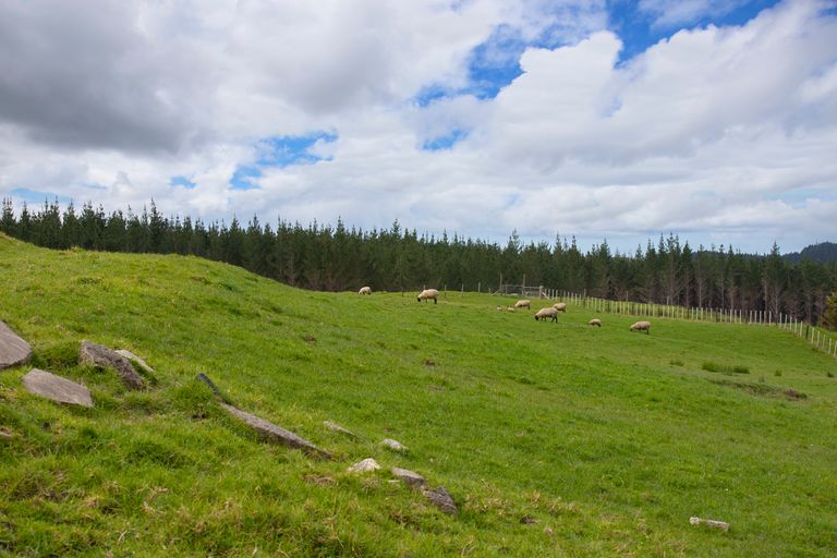 Photo of property in 127a Oruawharo Road, Topuni, Wellsford, 0975