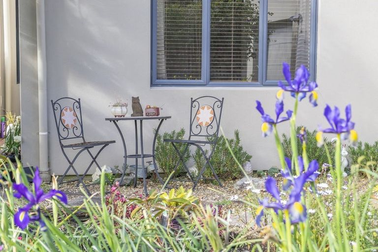 Photo of property in 48 Ashwood Avenue, Dairy Flat, Albany, 0792