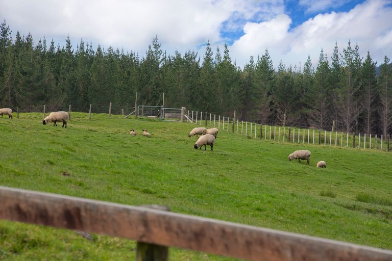 Photo of property in 127a Oruawharo Road, Topuni, Wellsford, 0975