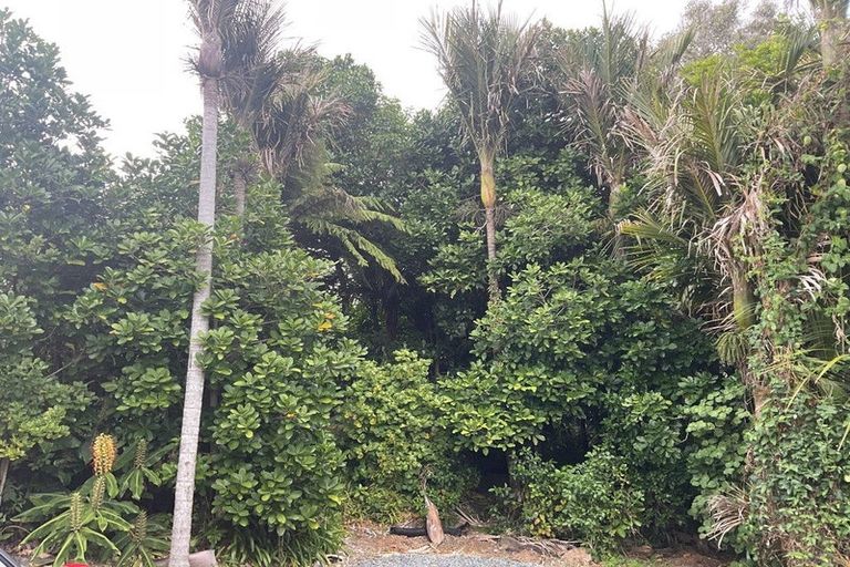 Photo of property in 200 Ti Point Road, Ti Point, Warkworth, 0985