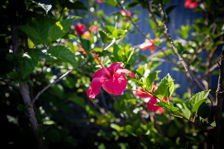 Photo of property in 18 Tweed Street, Mount Maunganui, 3116