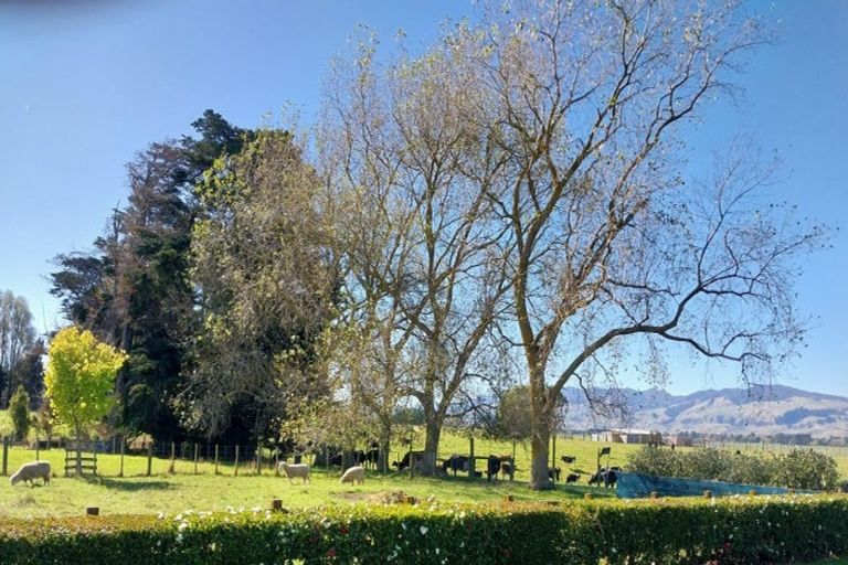 Photo of property in 158 Watershed Road, Bunnythorpe, Palmerston North, 4470