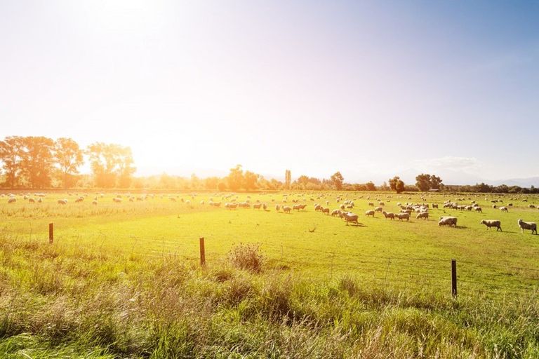 Photo of property in 2 Leeston Dunsandel Road, Leeston, 7632