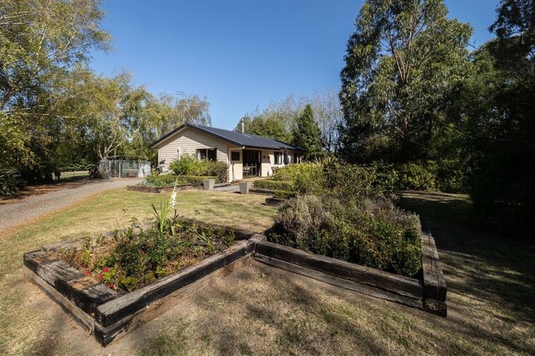 Photo of property in 219 Normanby Road, Rakaia, 7784