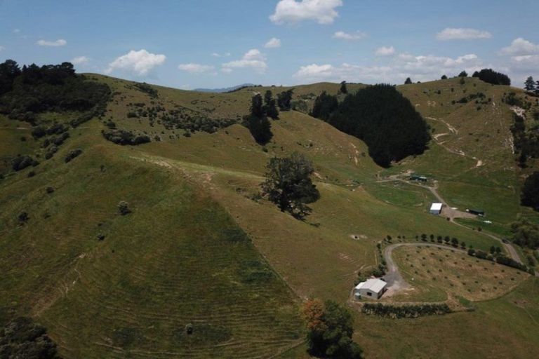 Photo of property in 8268 Paeroa Kopu Road, Hikutaia, Paeroa, 3674