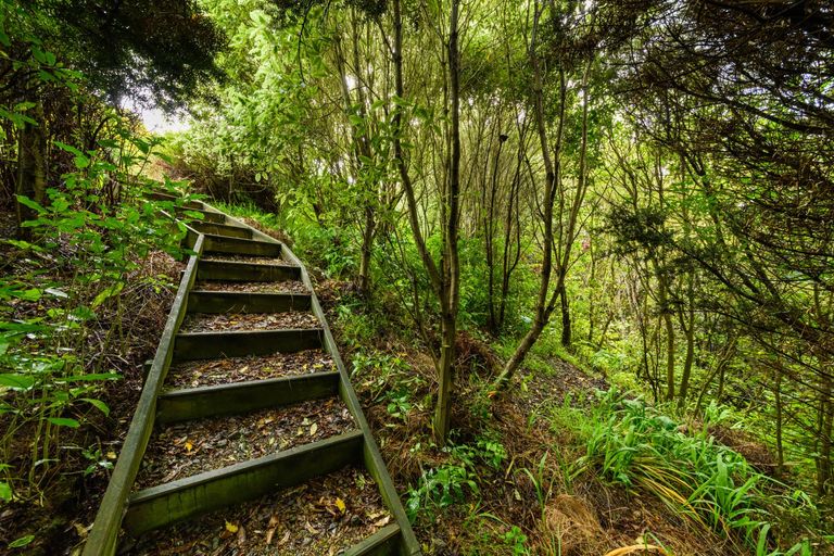 Photo of property in 11 Greenwood Place, Fitzherbert, Palmerston North, 4410