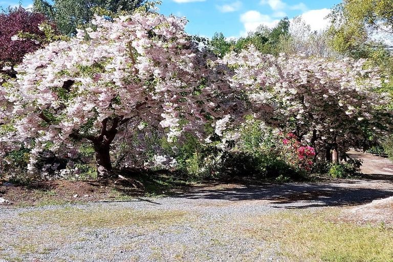 Photo of property in 539 Upper Hook Road, Hunter, Waimate, 7978