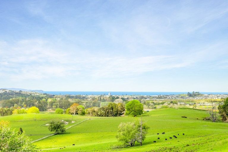 Photo of property in 120 Cemetery Road, Wainui, Silverdale, 0992