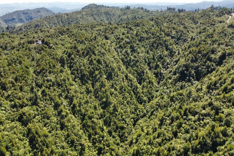 Photo of property in 552 Cuff Road, Erua, Owhango, 3990