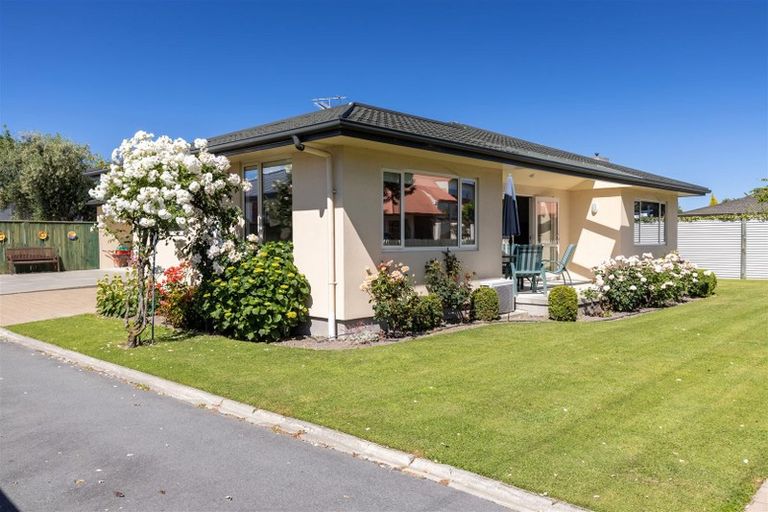 Photo of property in 91a Alfred Street, Blenheim, 7201