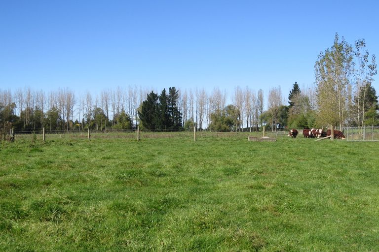 Photo of property in 141 Nixons Road, Fairlie, 7987