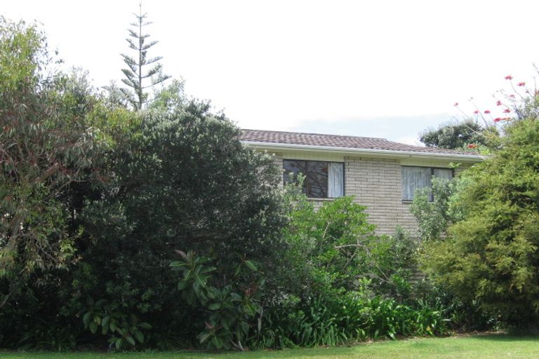 Photo of property in 44 The Loop, Waihi Beach, 3611