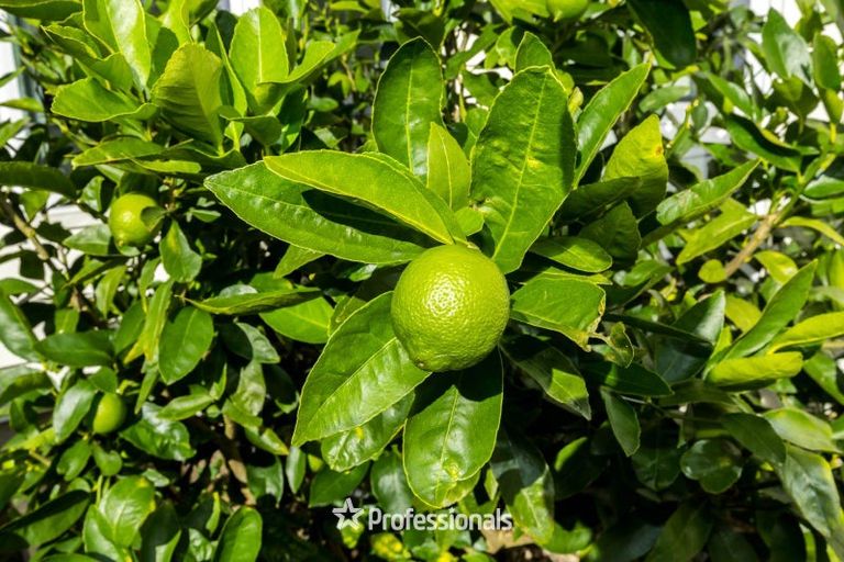 Photo of property in 49a Kiln Street, Silverstream, Upper Hutt, 5019