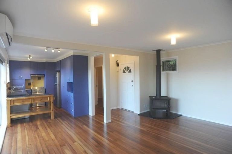 Photo of property in 149 The Ridgeway, Mornington, Wellington, 6021