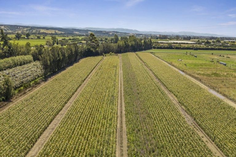 Photo of property in 444 Paton Road, Hope, Richmond, 7081