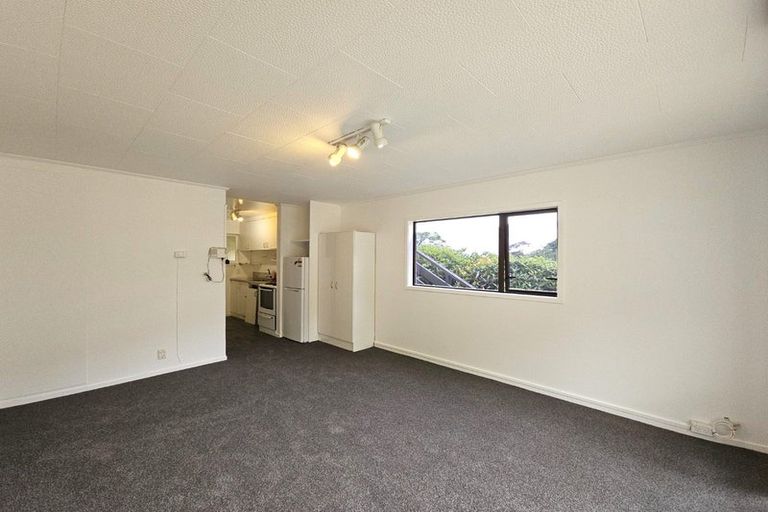 Photo of property in 93 Queen Street, North Dunedin, Dunedin, 9016