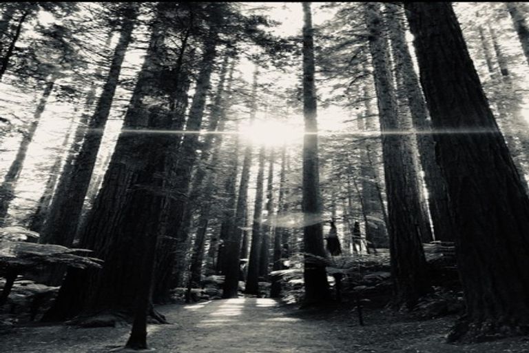 Photo of property in 106b Tarawera Road, Lynmore, Rotorua, 3010