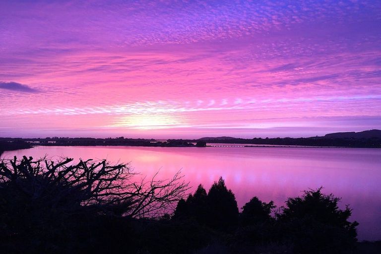 Photo of property in 49 Baycroft Avenue, Parkvale, Tauranga, 3112