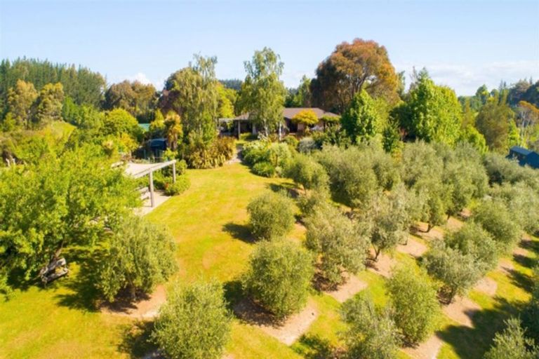 Photo of property in 175 Westdale Road, Redwood Valley, Richmond, 7081