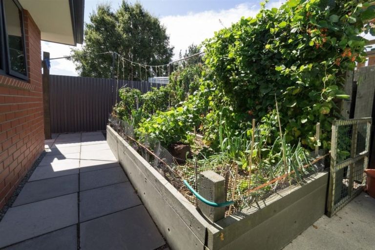 Photo of property in 7 South Town Belt, Rakaia, 7710