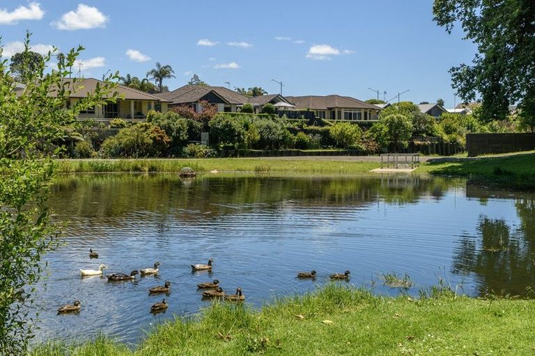 Photo of property in 127 Saint Andrews Drive, Bethlehem, Tauranga, 3110