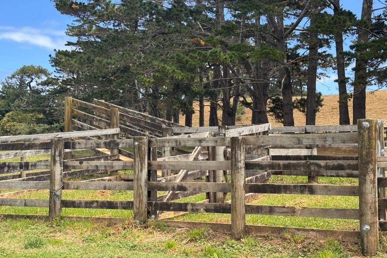 Photo of property in 287 Taurangaruru Road, Karioitahi, Waiuku, 2683