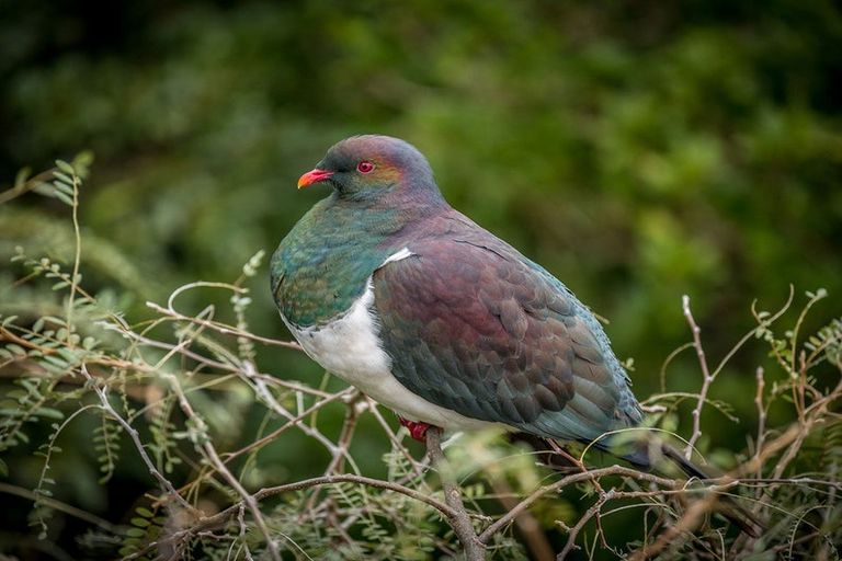Photo of property in 64 Motuhara Road, Plimmerton, Porirua, 5026
