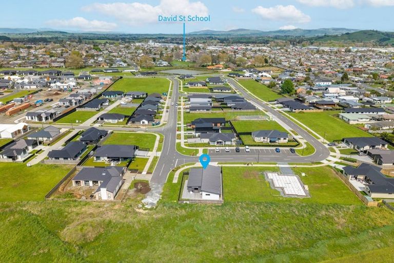 Photo of property in 49 Hoki Avenue, Morrinsville, 3300