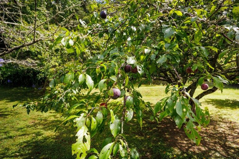 Photo of property in 753 Napier Road, Whakarongo, Palmerston North, 4470