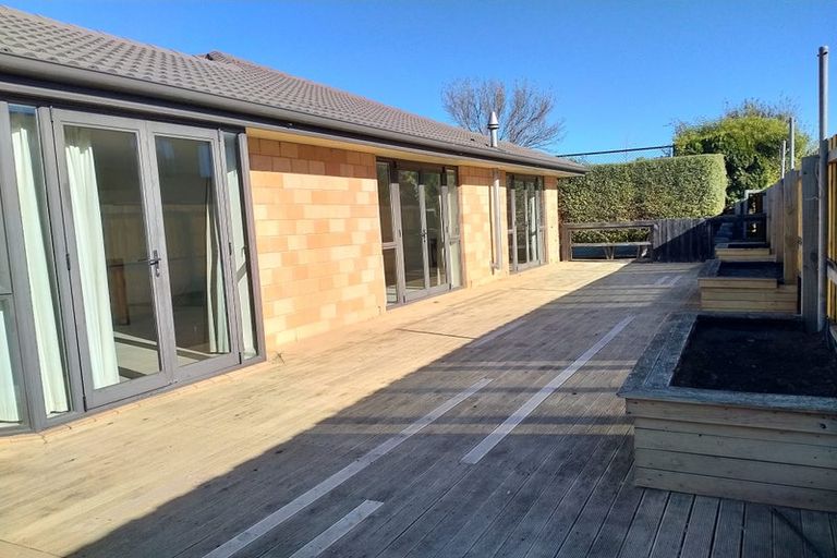 Photo of property in 113d Somerfield Street, Somerfield, Christchurch, 8024