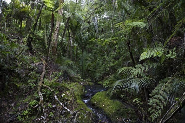 Photo of property in 37 Wairakau Road, Totara North, Kaeo, 0479