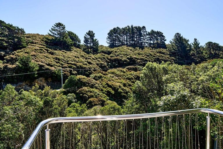 Photo of property in 101 Cluny Road, Plimmerton, Porirua, 5026