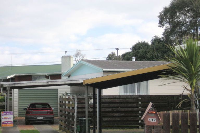 Photo of property in 117 Eversham Road, Mount Maunganui, 3116