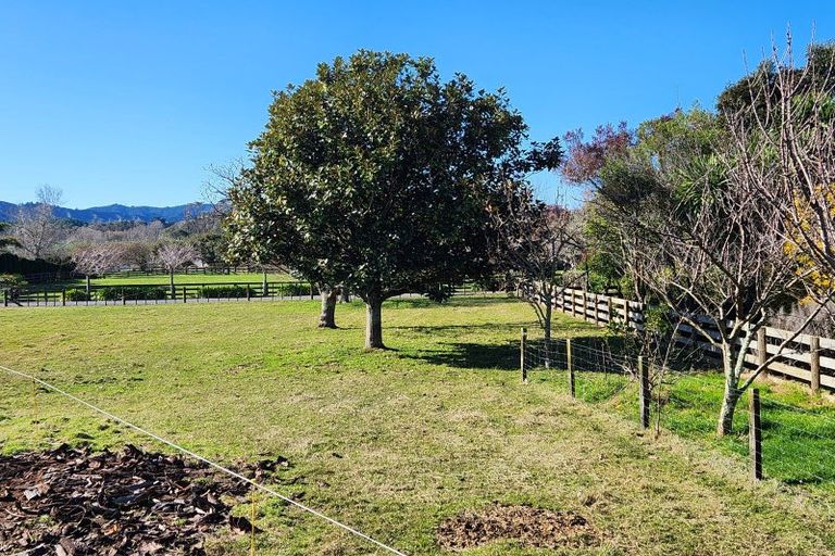 Photo of property in 9b Cameron Road, Hamilton East, Hamilton, 3216