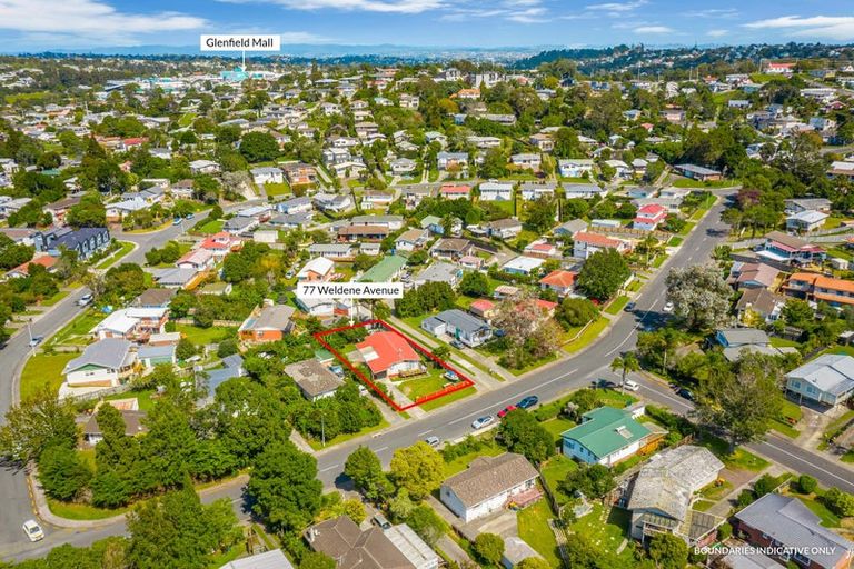 Photo of property in 77 Weldene Avenue, Glenfield, Auckland, 0629