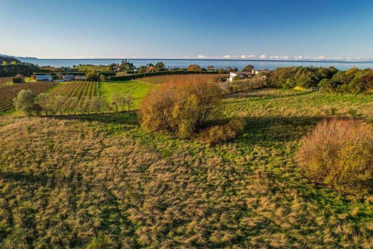 Photo of property in 50 Cliff Road, Tasman, Upper Moutere, 7173